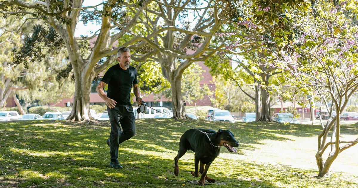 Un perro corre feliz por un parque junto a su dueño