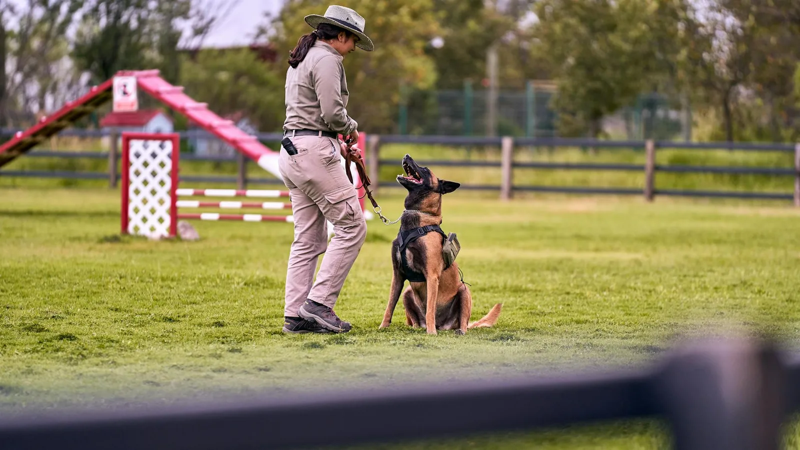 Atragantamiento canino: maniobras seguras