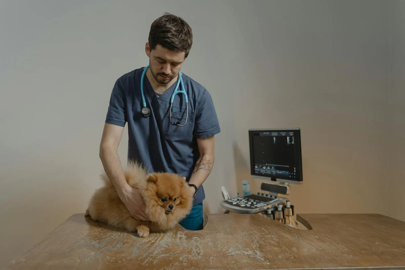 Glándulas anales: cuándo preocuparse y cuándo al veterinario