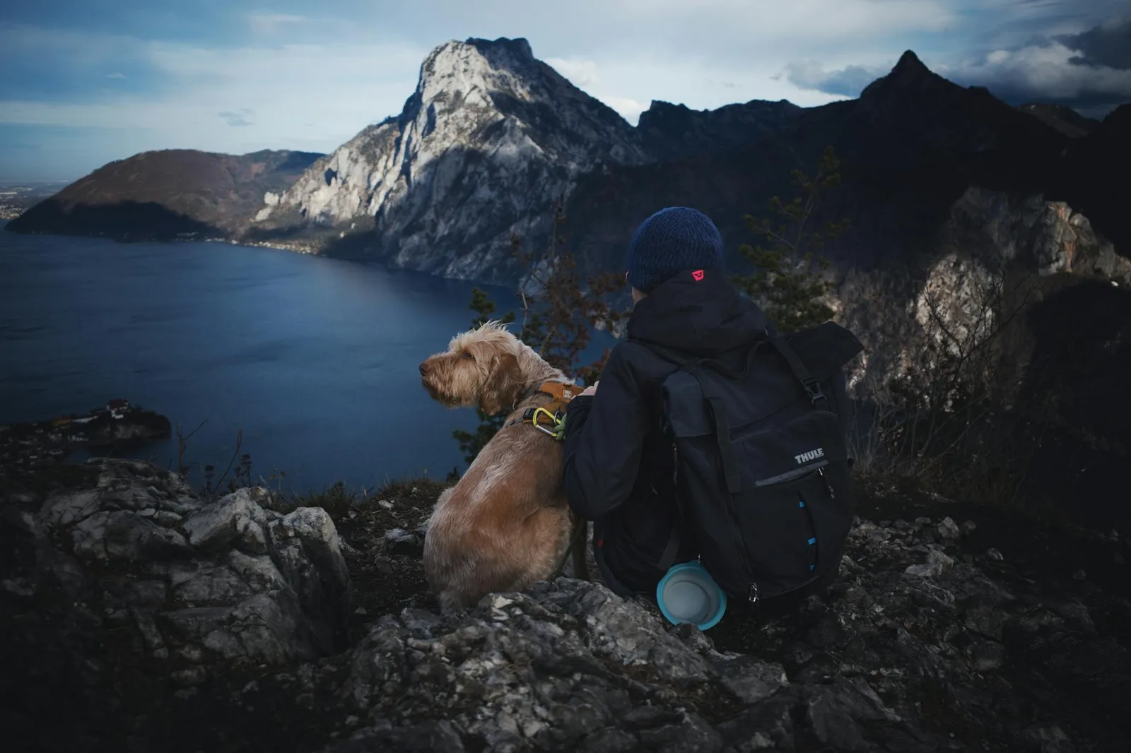 Kit de viaje canino: qué llevar siempre