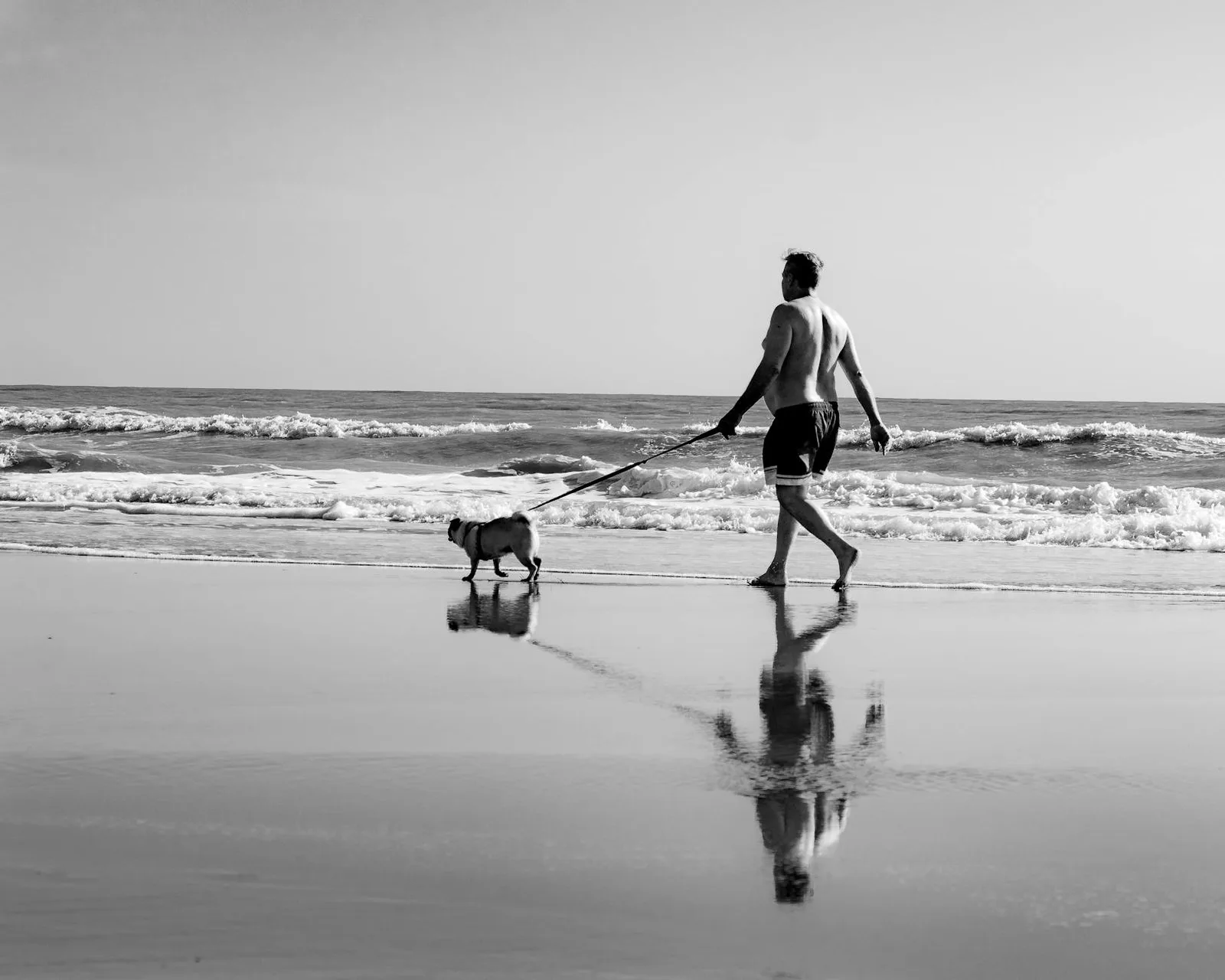 Cuidados del perro en la playa: sal, sol y mar