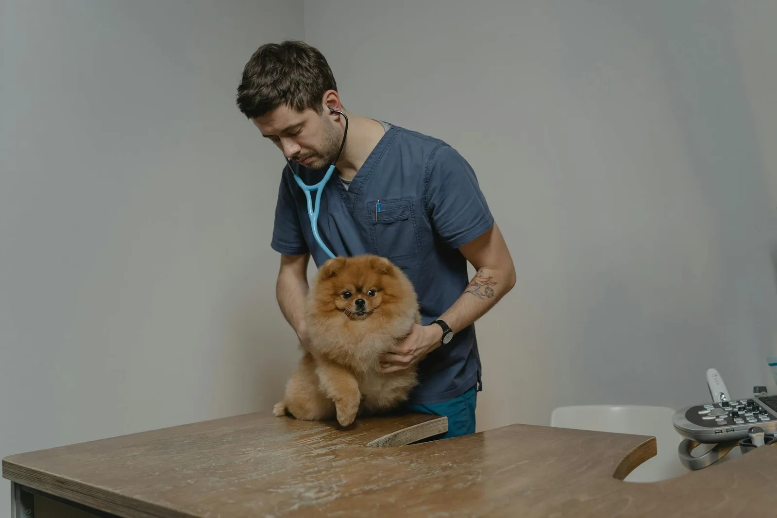 Señales de alarma: cuándo acudir al veterinario sin esperar